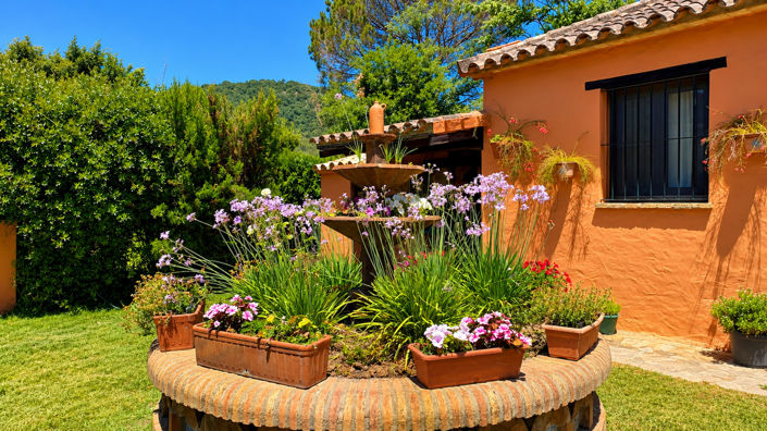 Image No.35-4 Bed Finca for sale