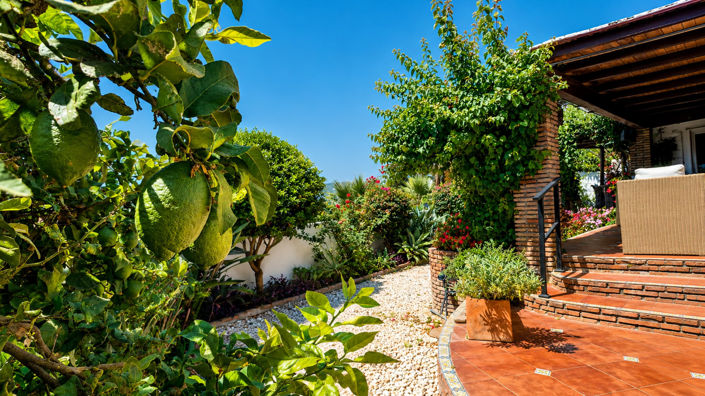 Image No.41-3 Bed House for sale