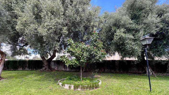 Image No.23-3 Bed Townhouse for sale