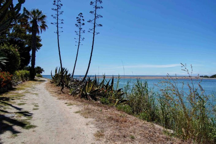 Image No.20-Maison de ville de 2 chambres à vendre à Sotogrande playa