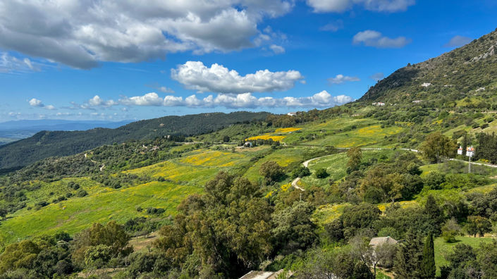 Image No.25-4 Bed Townhouse for sale