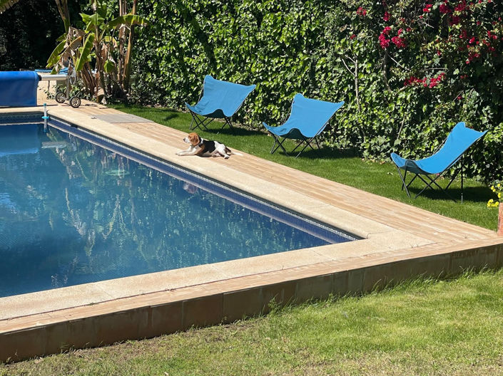 Image No.9-4 Bed Villa for sale