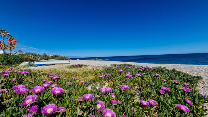 Image No.37-4 Bed Townhouse for sale