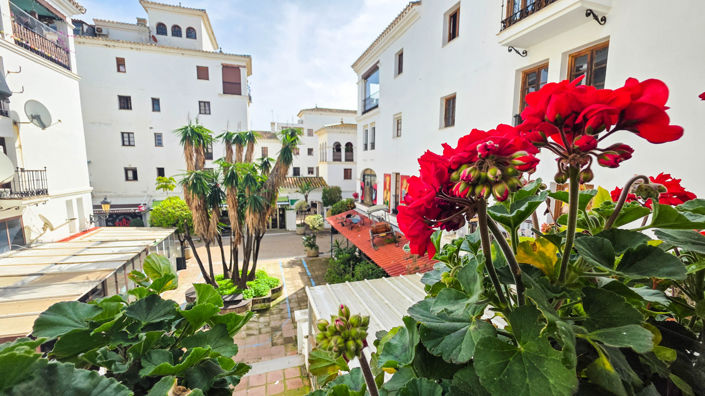 Image No.7-Appartement de 1 chambre à vendre à Manilva