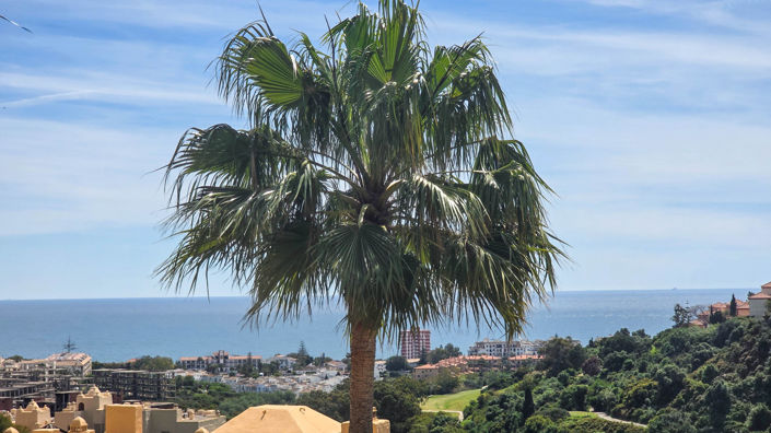 Image No.28-3 Bed Apartment for sale