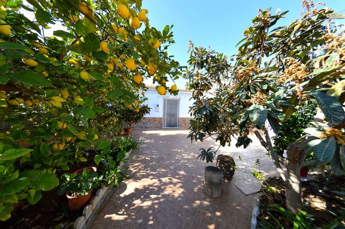 Image No.1-4 Bed Property for sale