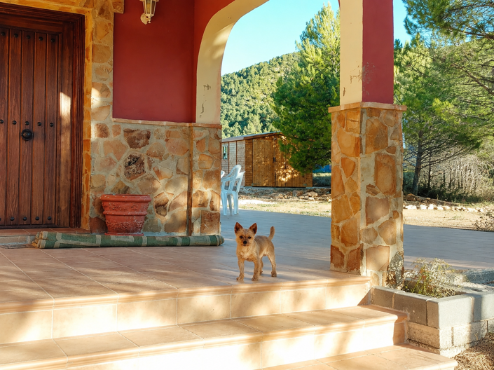 Image No.6-4 Bed Villa for sale