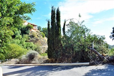 Entrada