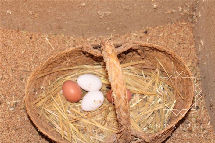 Image No.46-5 Bed Property for sale