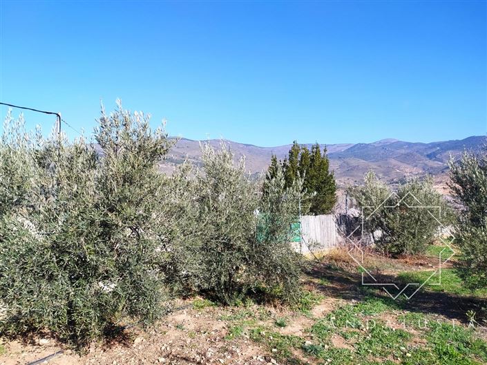 Image No.52-5 Bed Property for sale