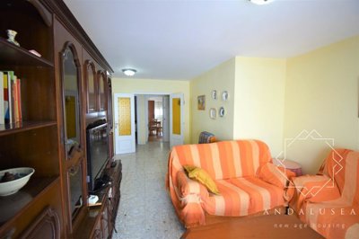 3666427-6e922af1