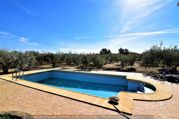 Image No.49-3 Bed Property for sale