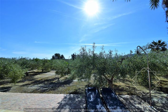 Image No.51-3 Bed Property for sale