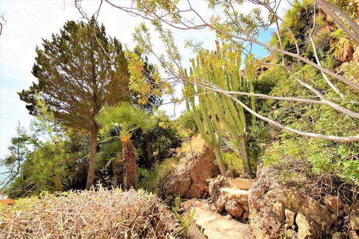 Image No.10-Land for sale