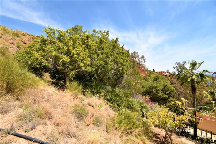 Image No.6-Land for sale