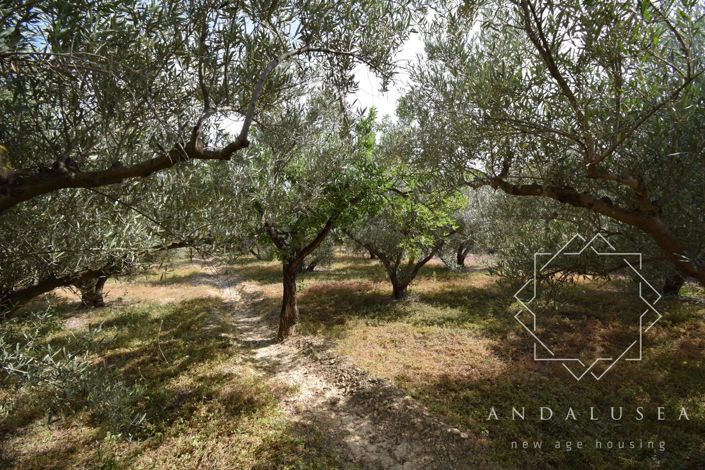 Image No.8-Terre à vendre à Almeria