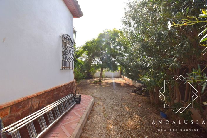 Image No.32-Propriété de 4 chambres à vendre à Palomares