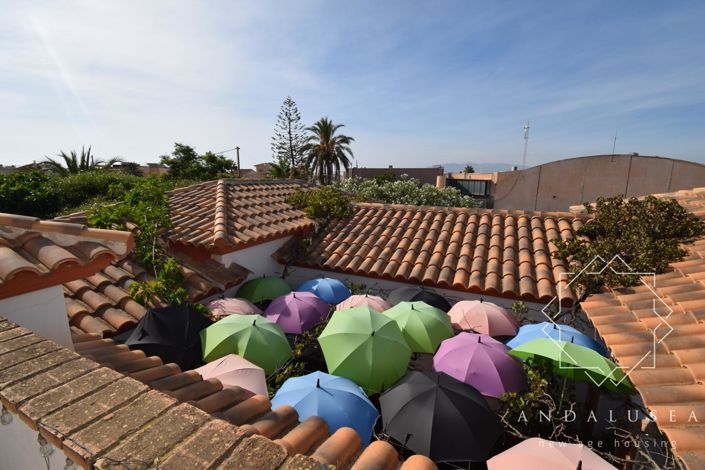 Image No.35-Propriété de 4 chambres à vendre à Palomares