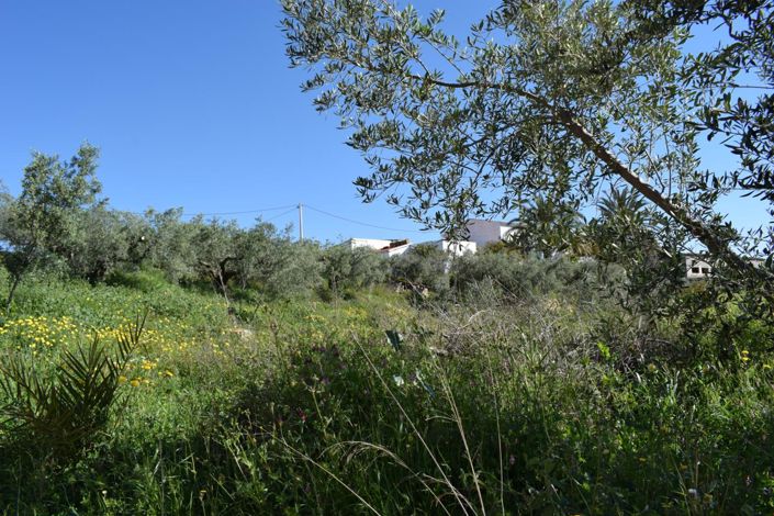 Image No.1-Land for sale