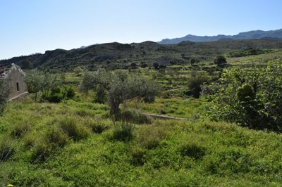 Vistas