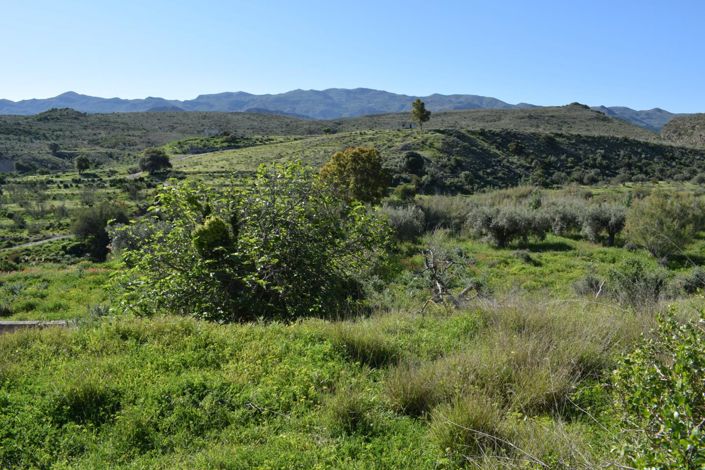 Image No.3-Land for sale