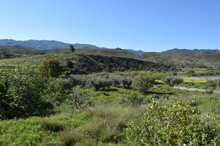 Image No.4-Land for sale