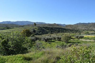 Vistas