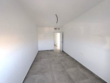 4271449-38302831