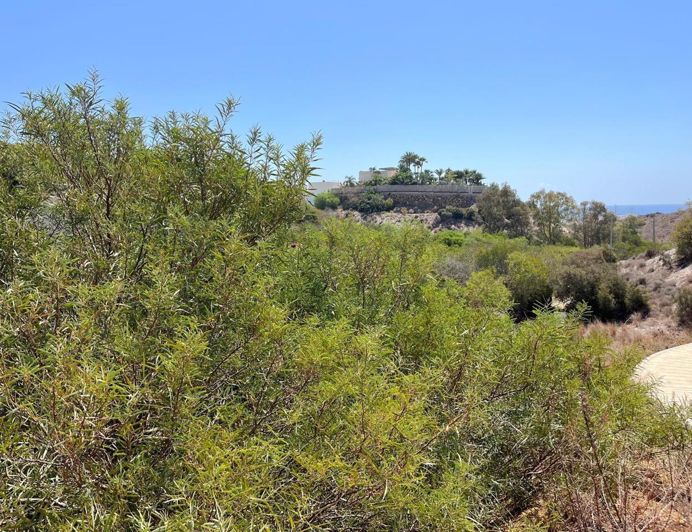 Image No.7-Land for sale