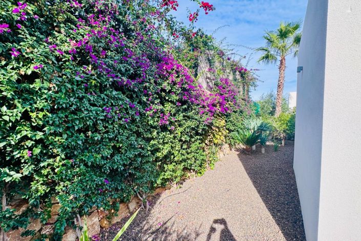 Image No.34-Villa de 2 chambres à vendre à Algorfa