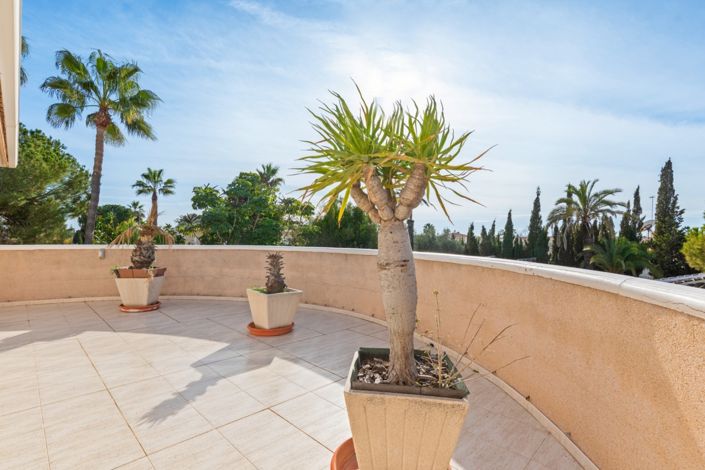 Image No.46-5 Bed Chalet for sale