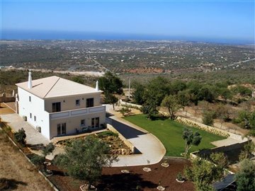 aerial2