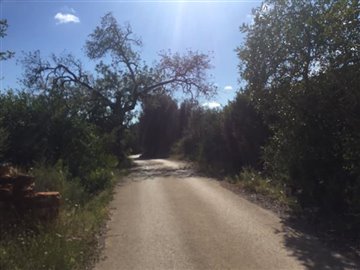 seaviewplotdiamondalgarve7