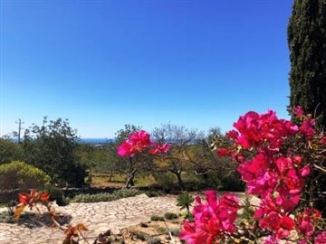 1 - Loule, Maison