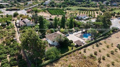 21ee215b-bign-3825-03