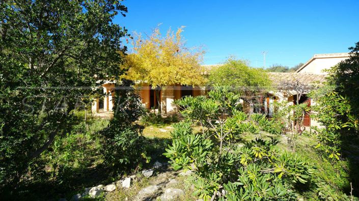 Image No.10-Finca de 9 chambres à vendre à Valencia