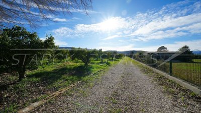 a5986577-bign-0426-03