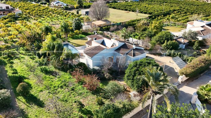 Image No.8-Finca de 3 chambres à vendre à Pedreguer