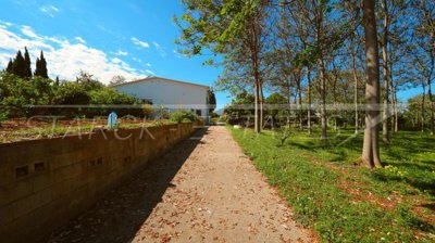 ba60453b-bign-2426-13