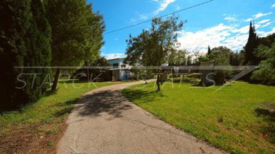 c44d6cf7-bign-2426-14