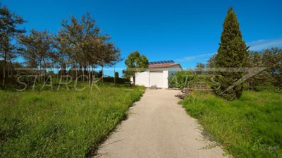 d5d426c9-bign-2426-16