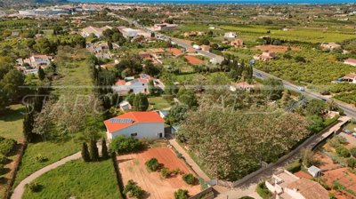 7f2424ee-bign-2426-03