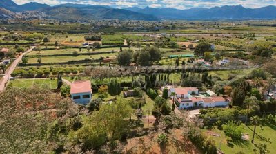 0dd02990-bign-2426-04