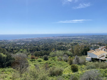 9810647