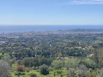 9810648