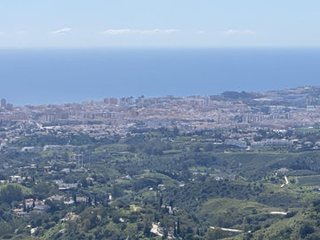 9810649