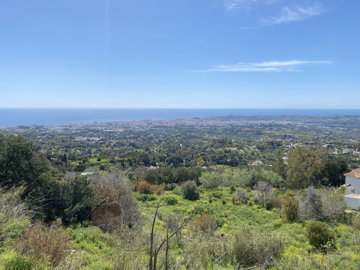 9810651