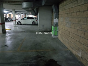 9967617