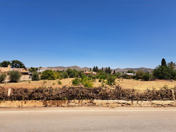 9967551