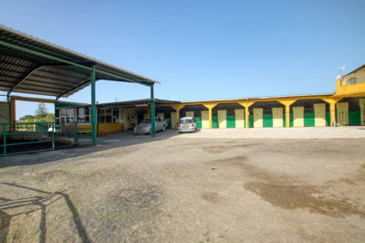 9967482